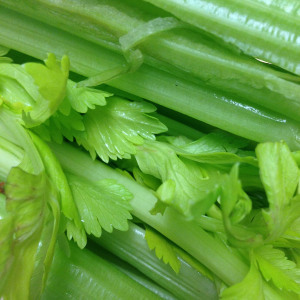 celery, one pound less, 