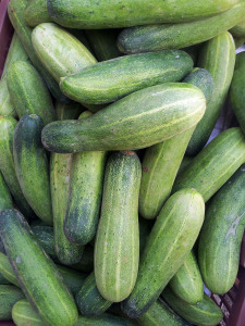 cucumber, one pound less, 