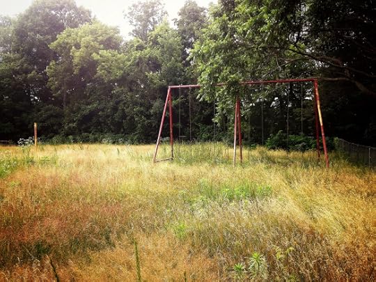 The Fun Stops Here - Abandoned Playgrounds & Amusement Parks | Lis'Anne Harris