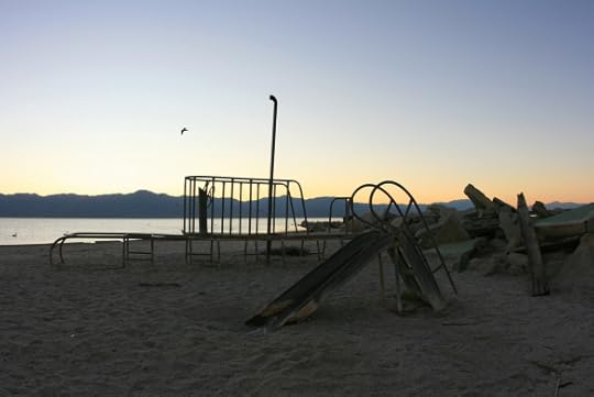 The Fun Stops Here - Abandoned Playgrounds & Amusement Parks | Lis'Anne Harris