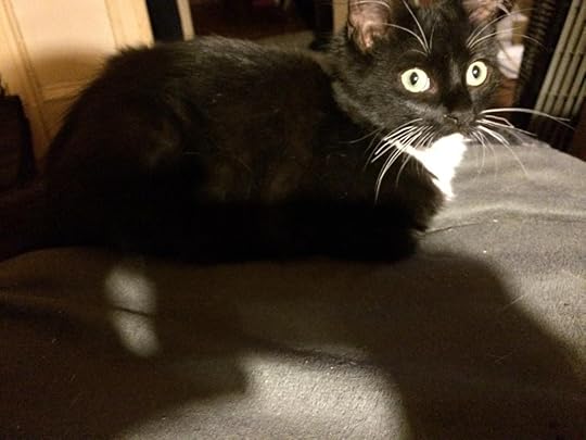  photo IMG_0134_zpsf3a8cbdc.jpg