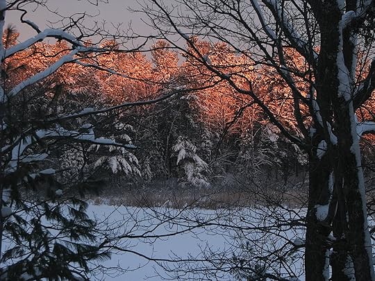 Fiery Dawn 12-31-2014