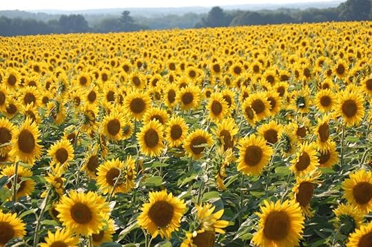  photo il_fullxfull82092615_zps693897a2.jpg