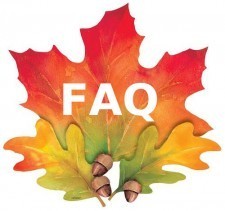 Something Like Fall FAQ