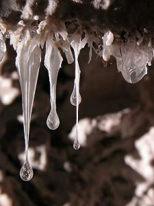 300px-Dscn1976a