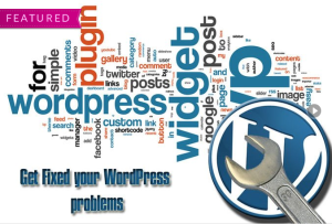 WordPress pic from Fiverr