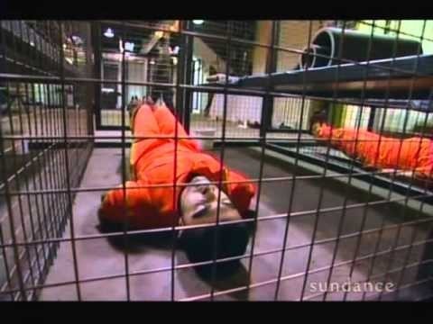 ec94ab493ec15a5435861ba8ed6095e1