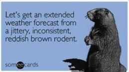 images ground hog cartoon