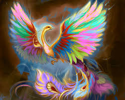 rainbow phoenix