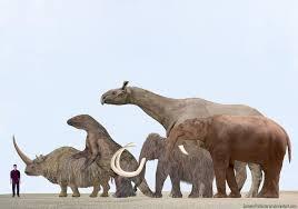 Megafauna2