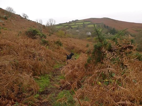Nattadon Path