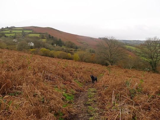 Nattadon path