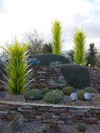 Welcome to the Desert Botanical Gardens