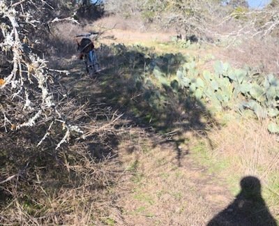 Overgrown-east-berm-trail