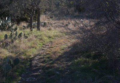 east-berm-trail-untrimmed