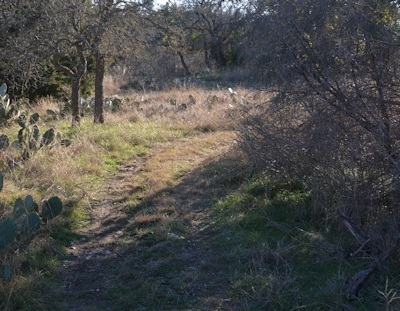 Trimmed-east-berm-trail