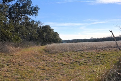 View Corner-hist-adj-aft