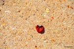 Do love what you do? Do you love yourself?