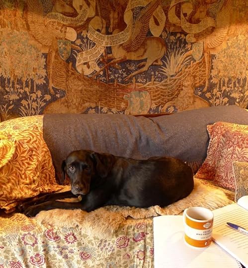 Tilly in the studio