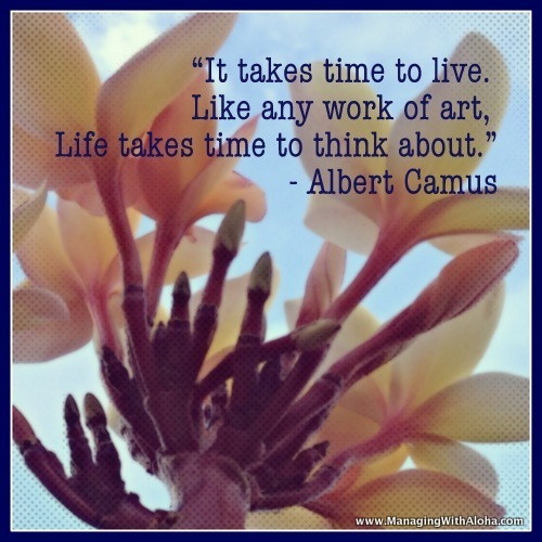 Albert Camus Quotation