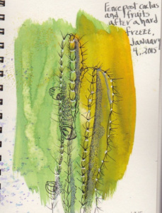 The assignment here was to draw with permanent ink on watercolor. No erasing, no second-guessing. Just looking at what you did. 