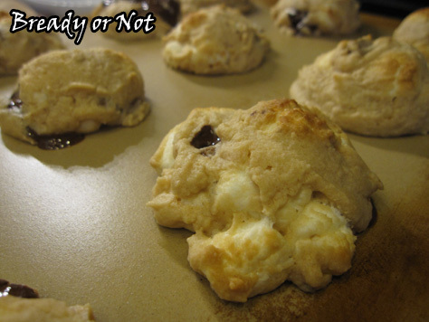 Biscoff Smores Chippers3_sm