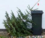 taking-down-christmas-tree-de