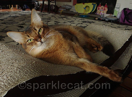 My come-hither look