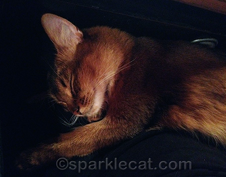 I sleep hard and play hard, just like in Sparkle's Credo