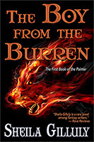 The Boy from the Burren by Sheila Gilluly