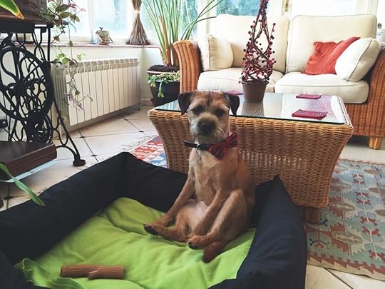 The Week That Was: Hello 2015 Made Peachy 