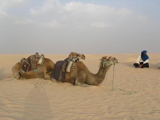 I wasn't sure what picture to use for this post, and then I saw these camels. You can't go wrong with a couple of camels.