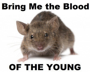 bring me blood