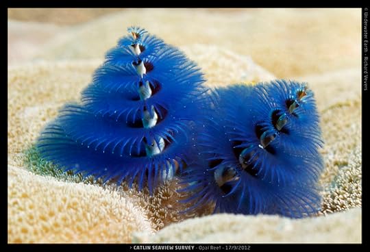 2015-01-06-NHMCoralReefs.jpg
