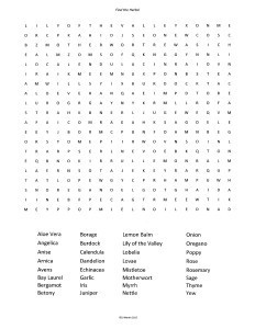 HerbPuzzle