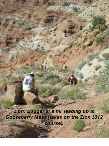 Running up to Gooseberry Mesa