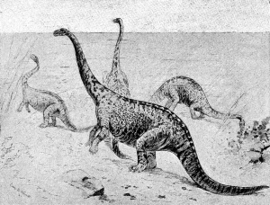 A - Dinosaurs