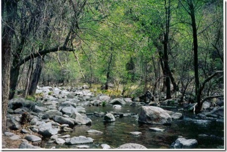Sedona_Oak Creek Canyon