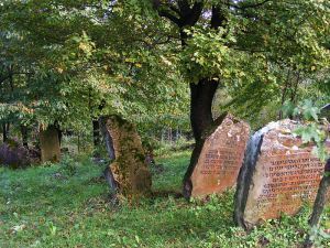 800px-Jewish_cemetery_Rymanów