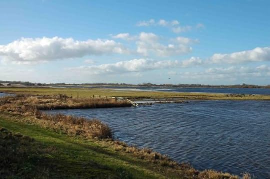 A view of Welney Washes when partially flooded. The huge ���washes��� between the two 17th century canalised courses of the River Ouse are intended to flood, thereby relieving pressure on the river���s outfall into the Wash, at Denver, in Norfolk.