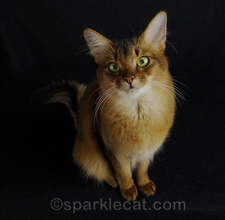 And of course there's LOVEly me!
