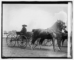 Loula Long Combs. 1920. Prints and Photographs Division, Library of Congress.