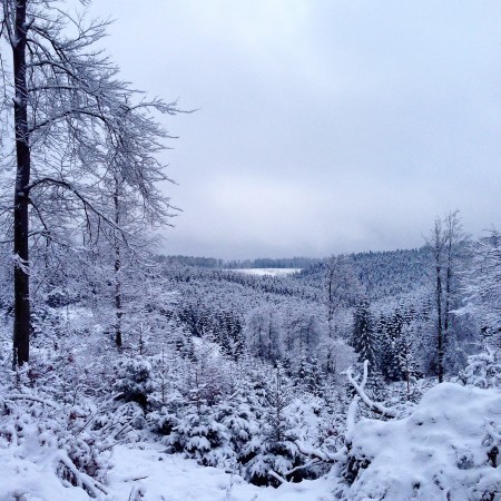 Winter wonderland!