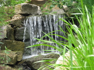 Overland Park Arboretum, 2013. Kate Meadows