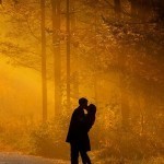 310923a12f18d69d9bd5e9e90013410e