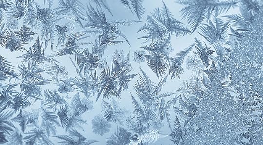 Ice Feathers from Flickr via Wylio