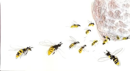 Wasps