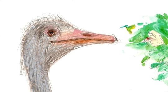Ostritch and honeybird