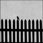 rail fence