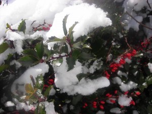 January 2010 001
